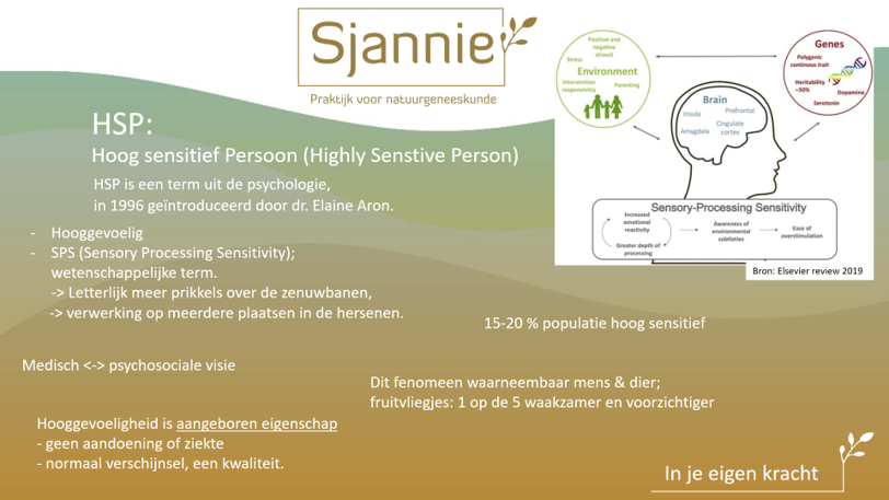 HSP, de betekenis in een notendop