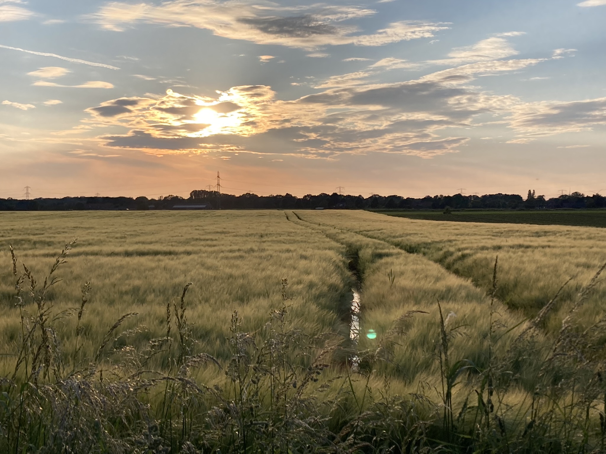 na de transformatie wordt het ZACHTER en RUSTIGER